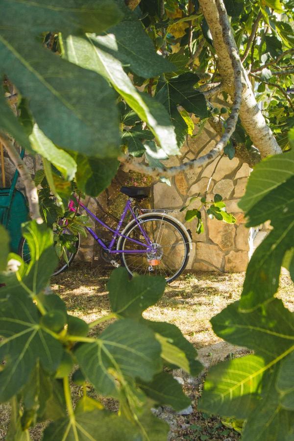 Apartmani Alic Sibenik Bagian luar foto